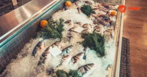 Read more about the article Ensuring Freshness in Morocco’s Seafood Sector with Trane Cold Storage